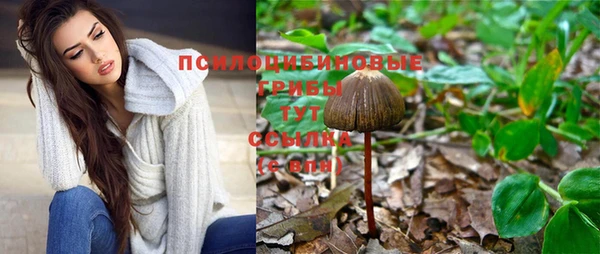 амф Алексин